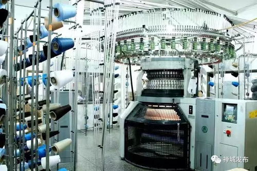 從小作坊到年產值7億的針織王國,安東尼如何開啟突圍之路